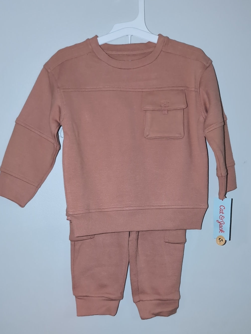 Cat & Jack Mauve Kids Sweatshirt & Jogger Set
